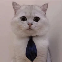 雅颂